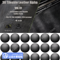 30幅皮革贴图素材amir3dart Leather Alpha Vol 01