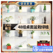 48组C4D桌面盆栽绿植模型