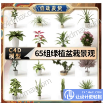 65组C4D景观绿植盆栽盆景模型