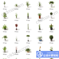65组C4D盆栽绿植花卉模型