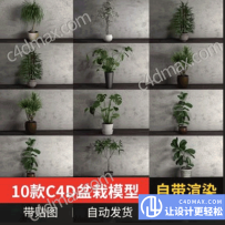 MX016  10款C4D植物盆栽模型