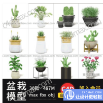 C4D max室内绿植物卉盆吊兰仙人掌模型素材带贴图附fbx obj max